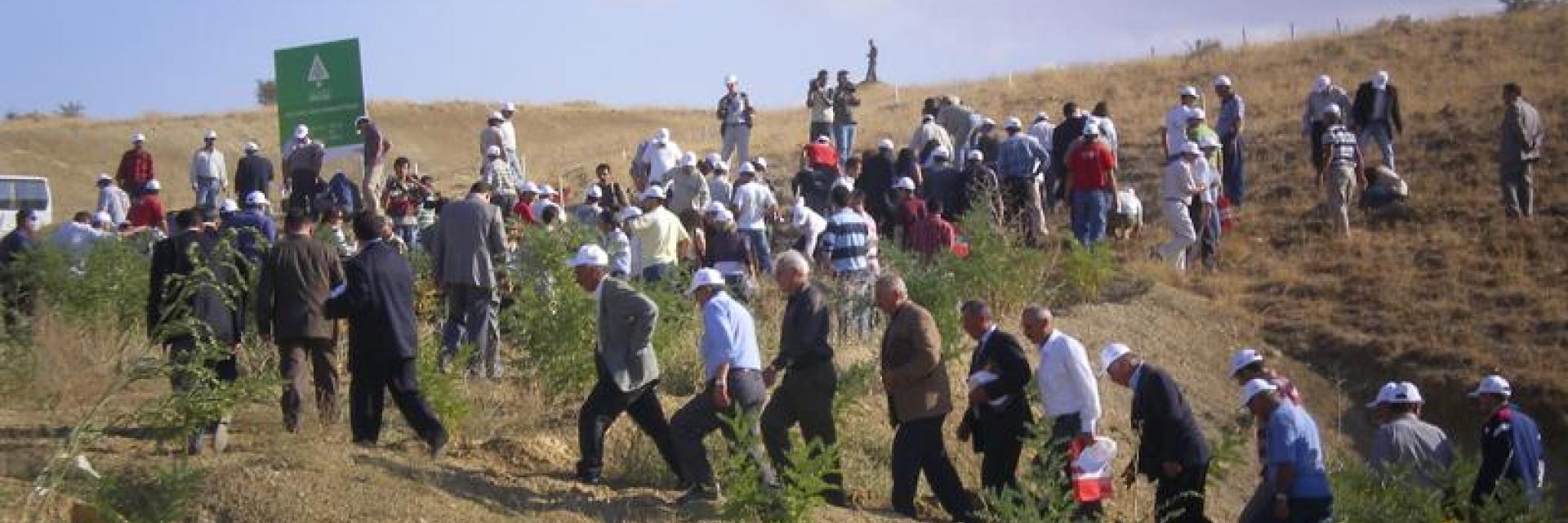 Sivas/ Divriği - 2005