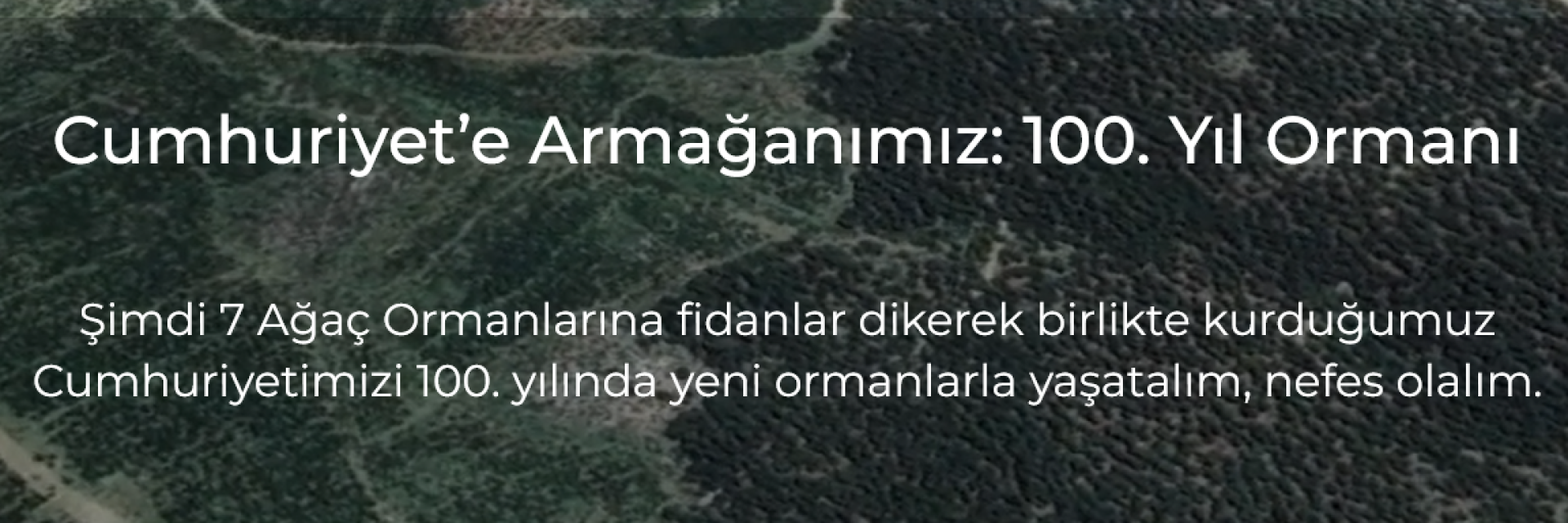 Yüzüncü Yıl Ormanına Fidanlar Dikin 